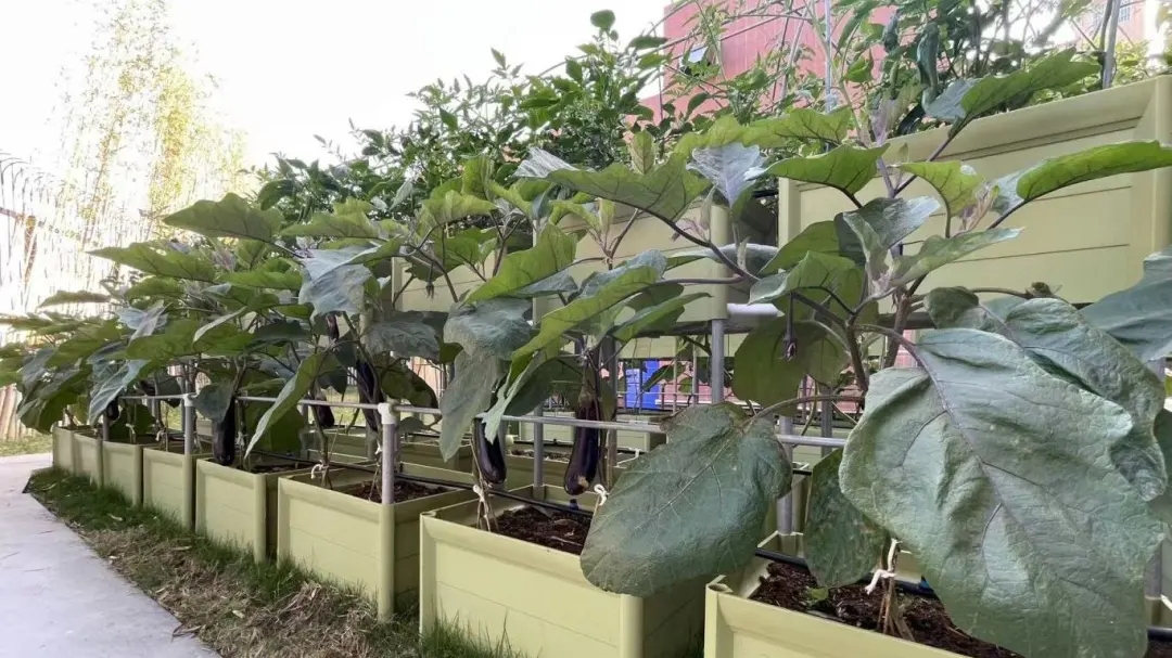 華珠舉行人工智能學(xué)院科技小院揭牌儀式18.jpg
